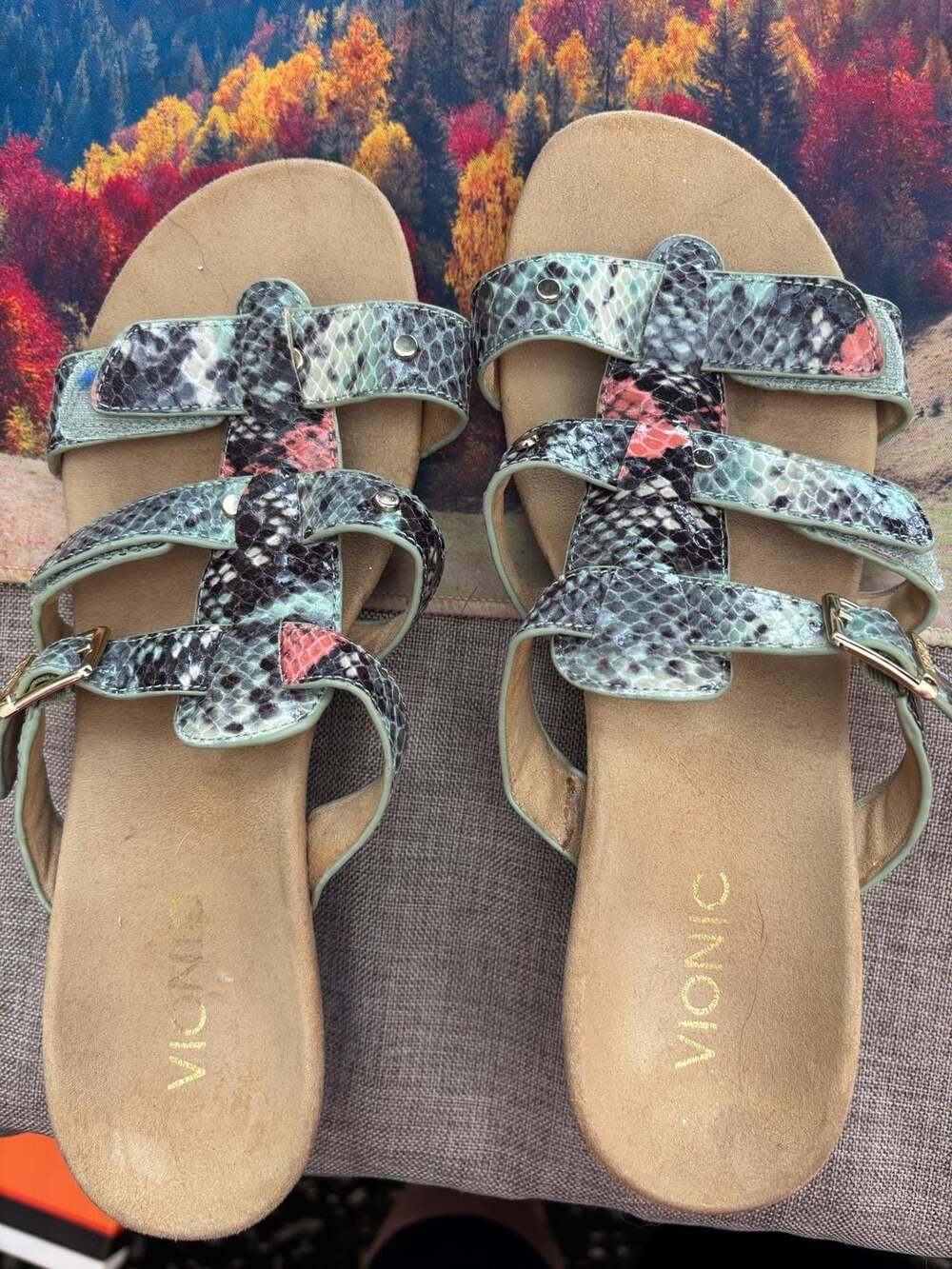 Vionic Radia Orthotic Triple Strap Slide Wedge Sandals in Multicolored Snakeskin